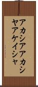 アカシア Scroll