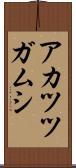 アカツツガムシ Scroll