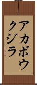 アカボウクジラ Scroll