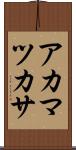 アカマツカサ Scroll