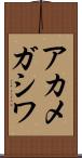 アカメガシワ Scroll