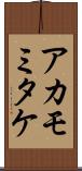 アカモミタケ Scroll
