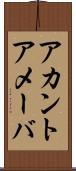 アカントアメーバ Scroll