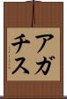 アガチス Scroll