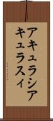 アキュラシ Scroll