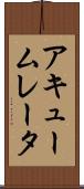 アキュームレータ Scroll