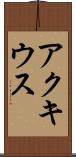 アクキウス Scroll