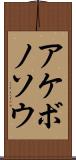 アケボノソウ Scroll