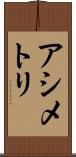 アシメトリ Scroll