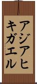 アジアヒキガエル Scroll