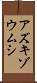 アズキゾウムシ Scroll