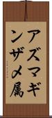 アズマギンザメ属 Scroll