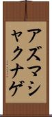 アズマシャクナゲ Scroll