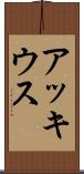 アッキウス Scroll