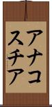 アナコスチア Scroll