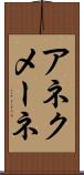 アネクメーネ Scroll