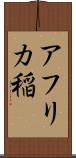 アフリカ稲 Scroll