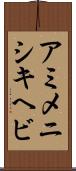 アミメニシキヘビ Scroll