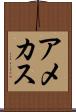 アメカス Scroll