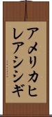 アメリカヒレアシシギ Scroll
