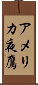 アメリカ夜鷹 Scroll