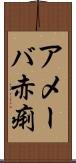 アメーバ赤痢 Scroll