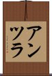 アンツラ Scroll
