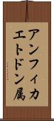 アンフィカエトドン属 Scroll