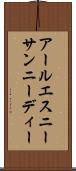 アールエスニーサンニーディー Scroll