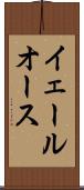 イェールオース Scroll