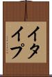 イタイプ Scroll