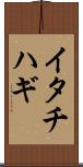 イタチハギ Scroll