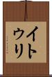 イトゥリ Scroll