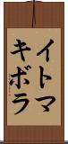 イトマキボラ Scroll