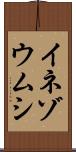 イネゾウムシ Scroll