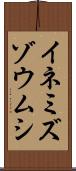 イネミズゾウムシ Scroll