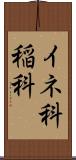 イネ科 Scroll