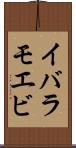 イバラモエビ Scroll