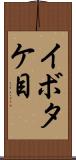 イボタケ目 Scroll