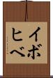 イボヒベ Scroll