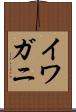 イワガニ Scroll