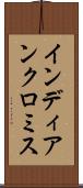 インディアンクロミス Scroll
