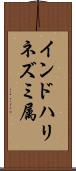 インドハリネズミ属 Scroll