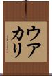 ウアカリ Scroll