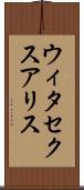 ウィタ・セクスアリス Scroll