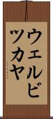 ウェルビツカヤ Scroll