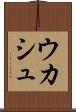 ウカシュ Scroll