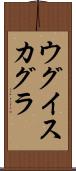 ウグイスカグラ Scroll