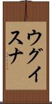 ウグイスナ Scroll