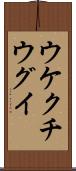 ウケクチウグイ Scroll